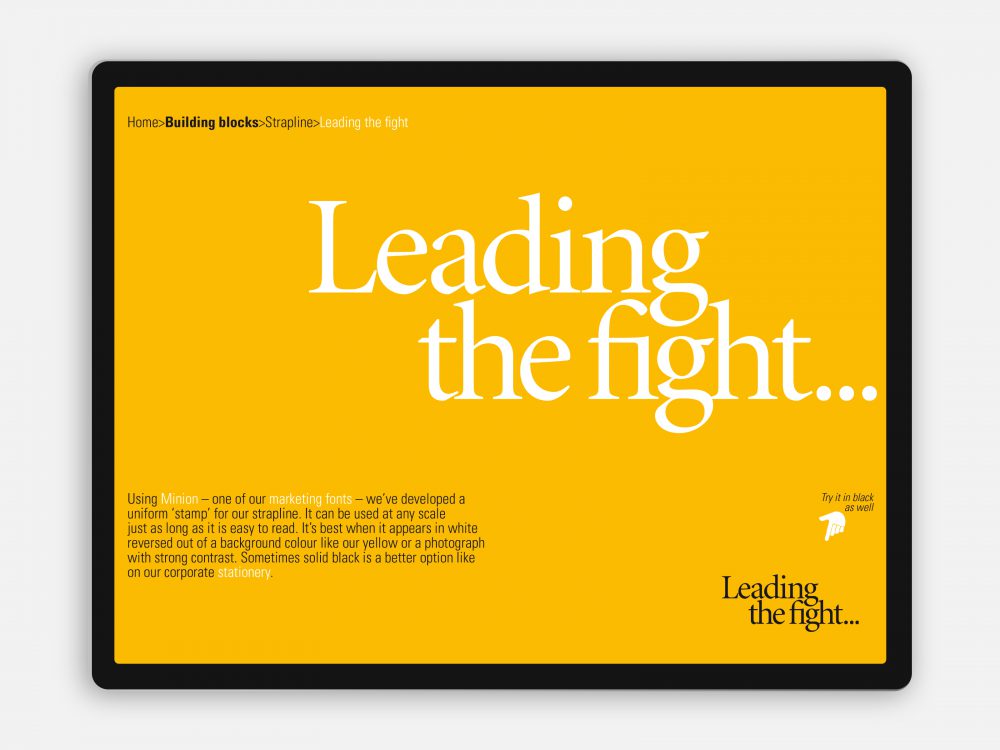 Cancer Council Envelope Group — Brand Strategy Marketing And Design